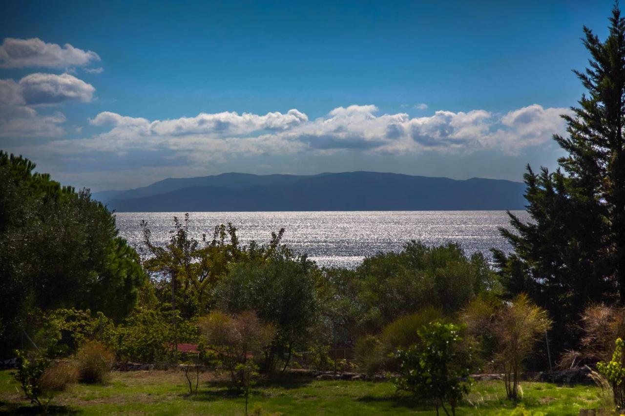 Driftwood Villa Karavádosz Kültér fotó
