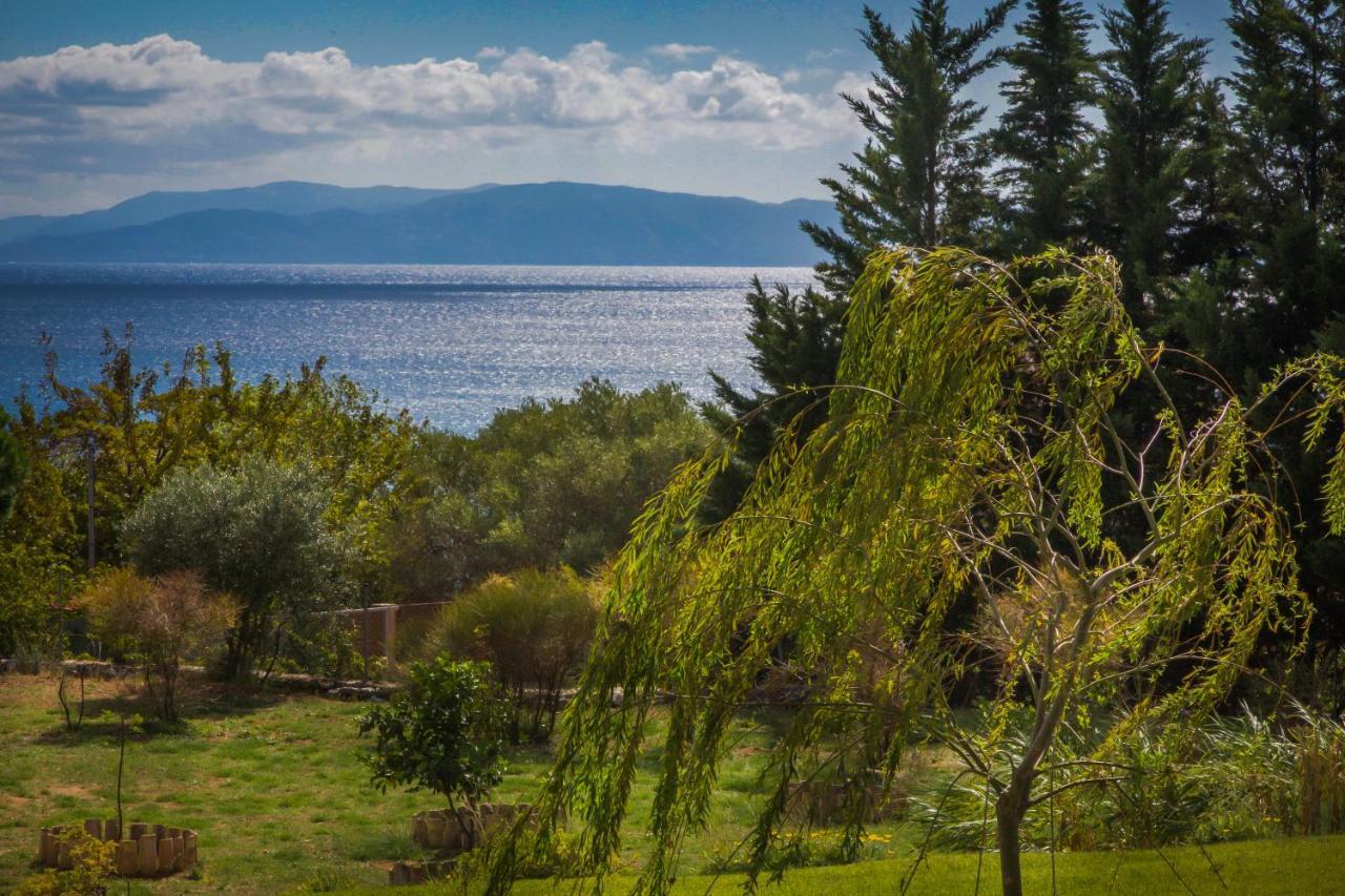 Driftwood Villa Karavádosz Kültér fotó